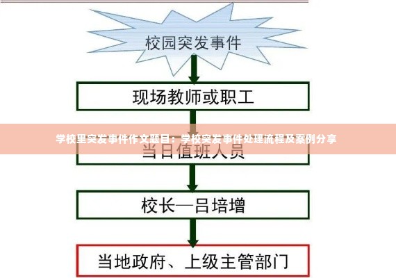 学校里突发事件作文题目：学校突发事件处理流程及案例分享 