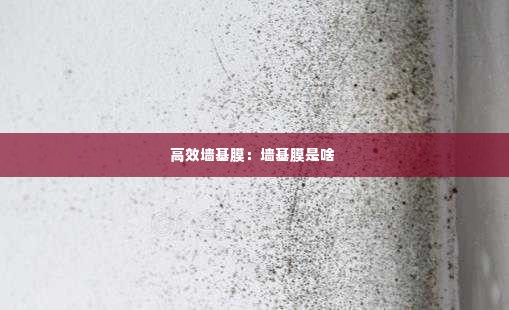 高效墙基膜：墙基膜是啥 