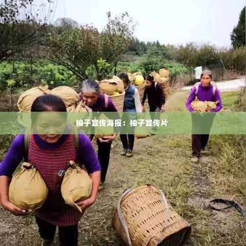 柚子宣传海报：柚子宣传片 