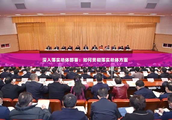 深入落实总体部署：如何贯彻落实总体方案 