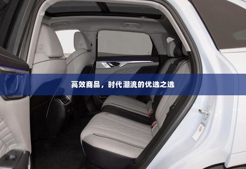 高效商品，时代潮流的优选之选