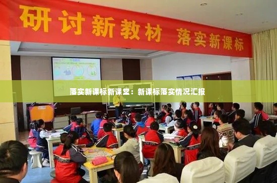 落实新课标新课堂：新课标落实情况汇报 