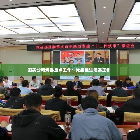 落实公司党委重点工作：党委推进落实工作 