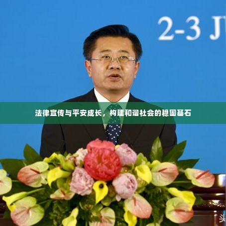 法律宣传与平安成长，构建和谐社会的稳固基石