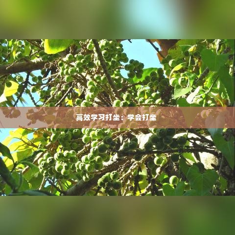 高效学习打坐：学会打坐 