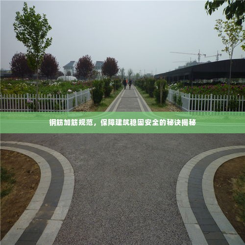 钢筋加筋规范，保障建筑稳固安全的秘诀揭秘