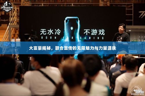 大富豪揭秘，联合宣传的无限魅力与力量源泉