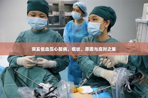 突发低血压心脏病，症状、原因与应对之策