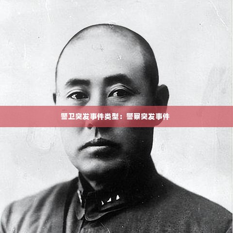 警卫突发事件类型：警察突发事件 