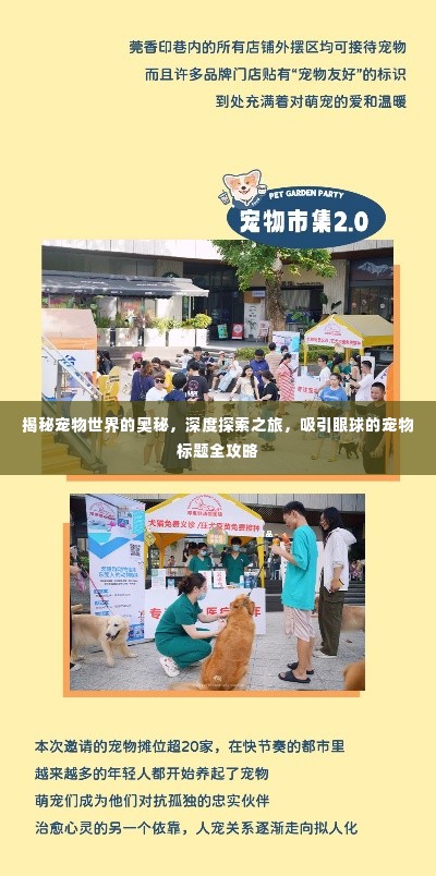 揭秘宠物世界的奥秘，深度探索之旅，吸引眼球的宠物标题全攻略