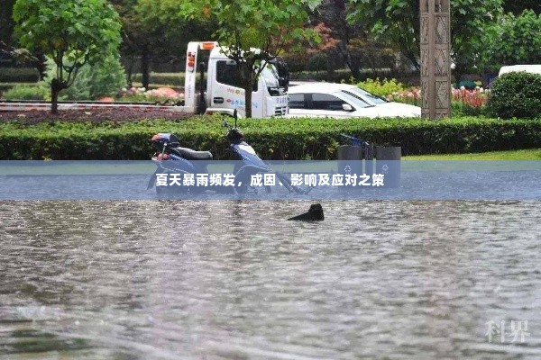 夏天暴雨频发，成因、影响及应对之策