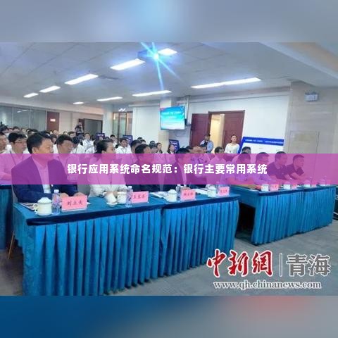 银行应用系统命名规范：银行主要常用系统 