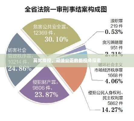 高效指控，司法公正的新视角探索