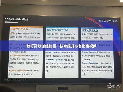 散打高效训练秘籍，技术提升必备指南视频