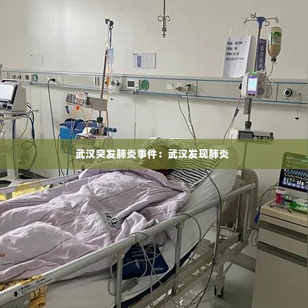 武汉突发肺炎事件：武汉发现肺炎 