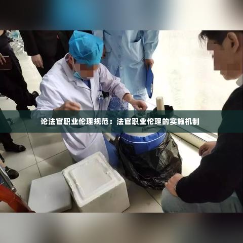 论法官职业伦理规范：法官职业伦理的实施机制 