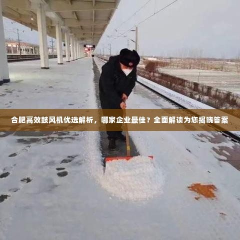 合肥高效鼓风机优选解析，哪家企业最佳？全面解读为您揭晓答案