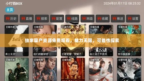 独家国产资源免费观看，魅力无限，可能性探索