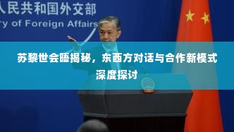 苏黎世会晤揭秘，东西方对话与合作新模式深度探讨