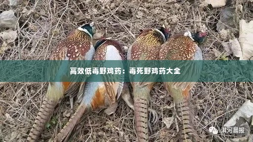 高效低毒野鸡药：毒死野鸡药大全 
