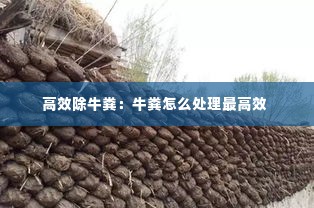 高效除牛粪：牛粪怎么处理最高效 