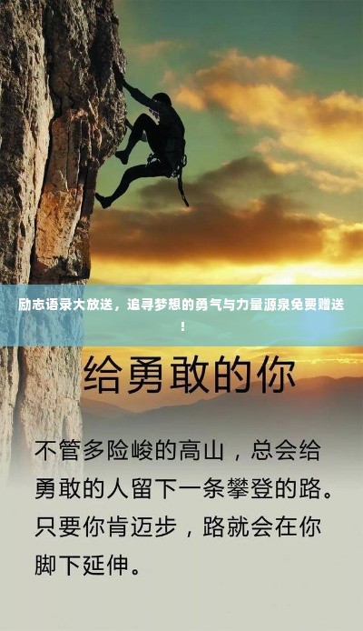 衣不重采 第2页