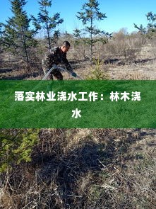 落实林业浇水工作：林木浇水 