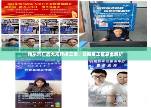 哈尔滨厂房大规模招工潮，最新招工信息全解析