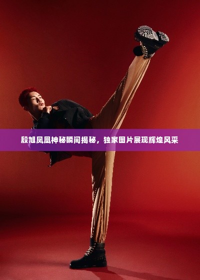 殷旭凤凰神秘瞬间揭秘，独家图片展现辉煌风采