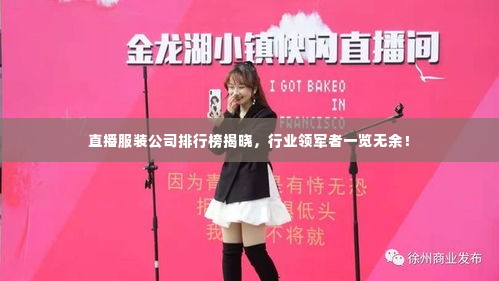 直播服装公司排行榜揭晓，行业领军者一览无余！