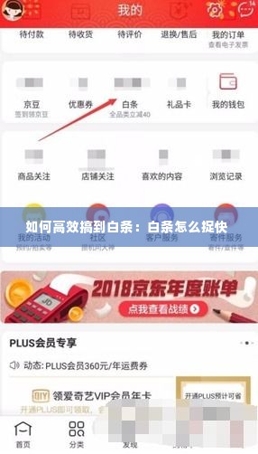 如何高效搞到白条：白条怎么捉快 
