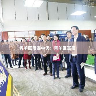 青羊区落实中优：青羊区基层 