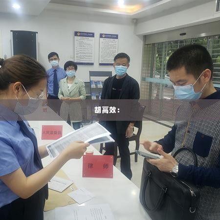 胡高效： 