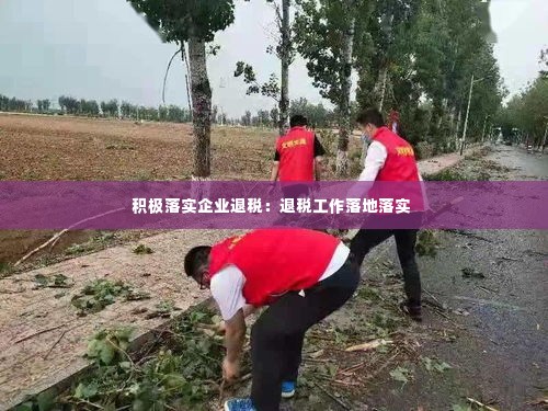 积极落实企业退税：退税工作落地落实 