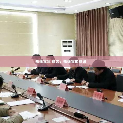 抓落实年 意义：抓落实的意识 