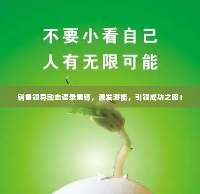 销售领导励志语录集锦，激发潜能，引领成功之路！