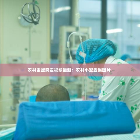 农村蜜蜂突发视频最新：农村小蜜蜂巢图片 