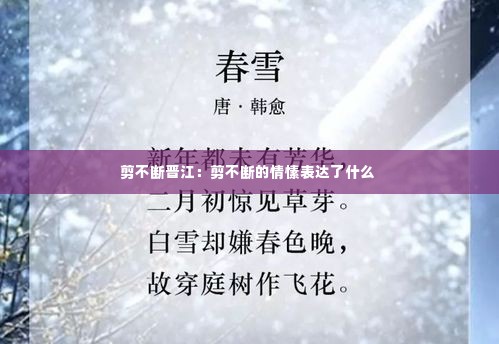 剪不断晋江：剪不断的情愫表达了什么 