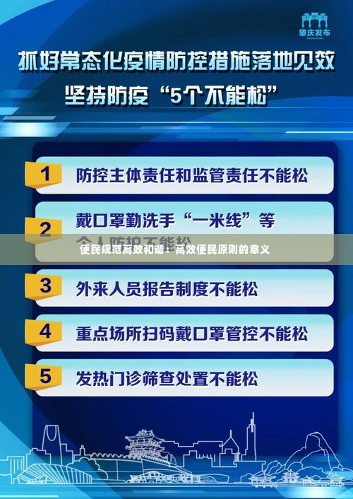 便民规范高效和谐：高效便民原则的意义 