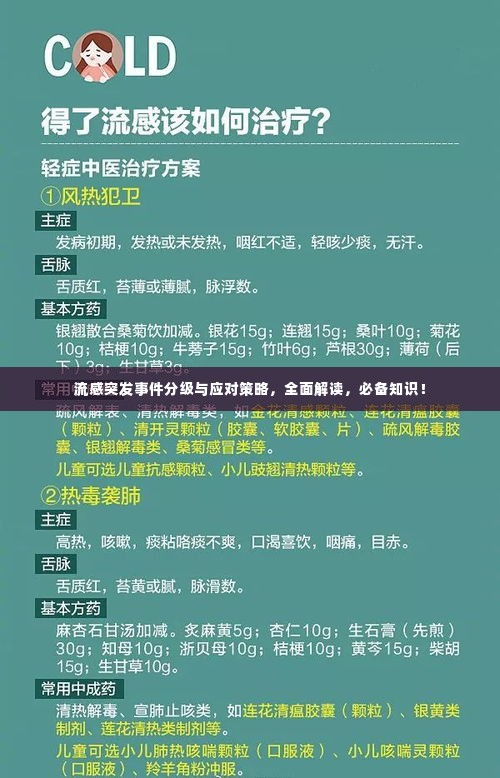 流感突发事件分级与应对策略，全面解读，必备知识！
