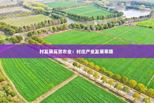 村发展高效农业：村庄产业发展思路 