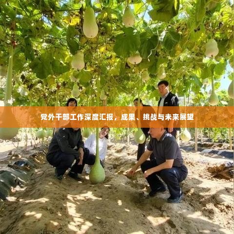 党外干部工作深度汇报，成果、挑战与未来展望