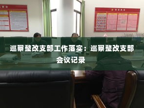 巡察整改支部工作落实：巡察整改支部会议记录 