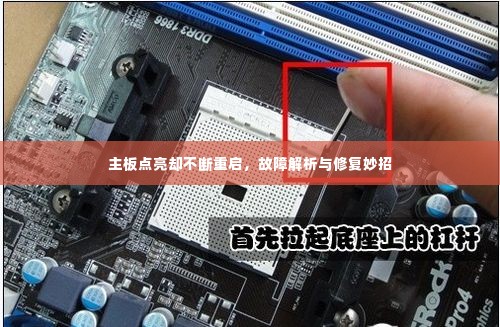 林下风气 第2页
