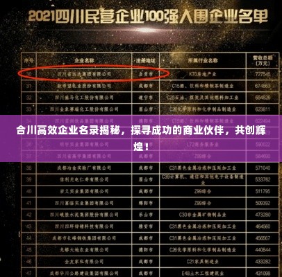 合川高效企业名录揭秘，探寻成功的商业伙伴，共创辉煌！