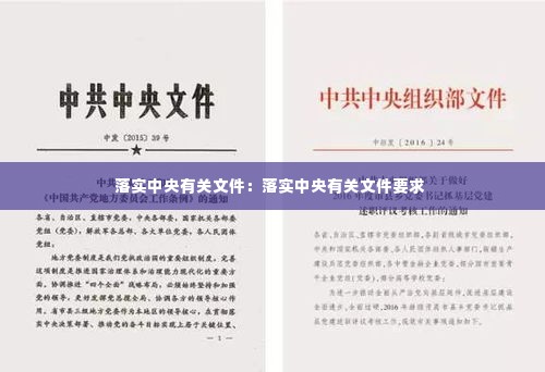 落实中央有关文件：落实中央有关文件要求 