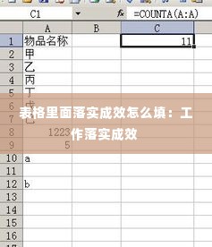 表格里面落实成效怎么填：工作落实成效 