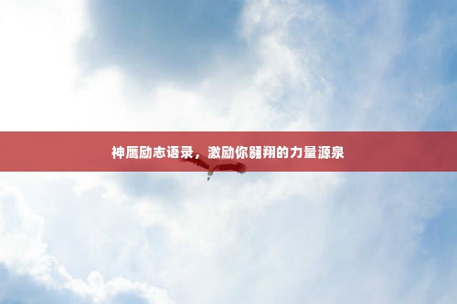 神鹰励志语录，激励你翱翔的力量源泉