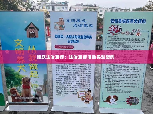 活跃法治宣传：法治宣传活动典型案例 