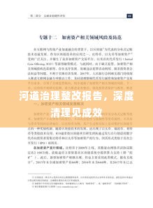 河道治理整改报告，深度清理见成效